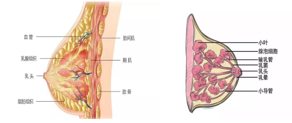 微信截图_20221115100021.png