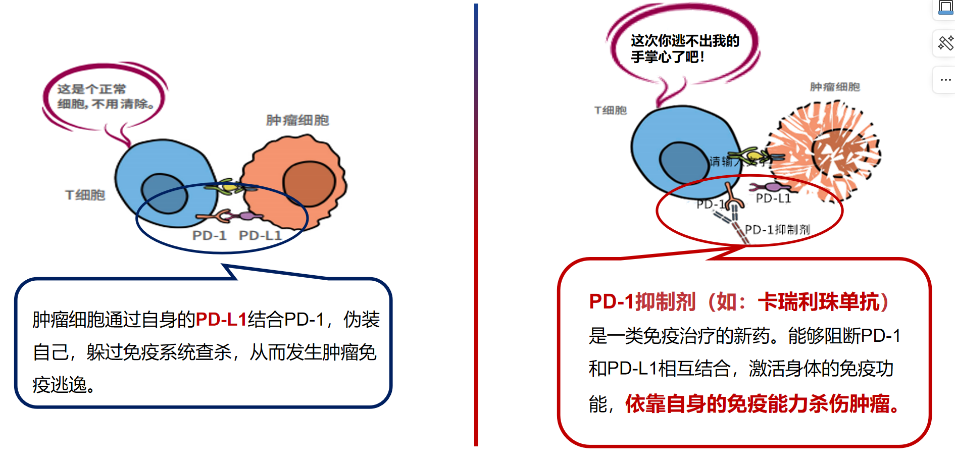 图片 3