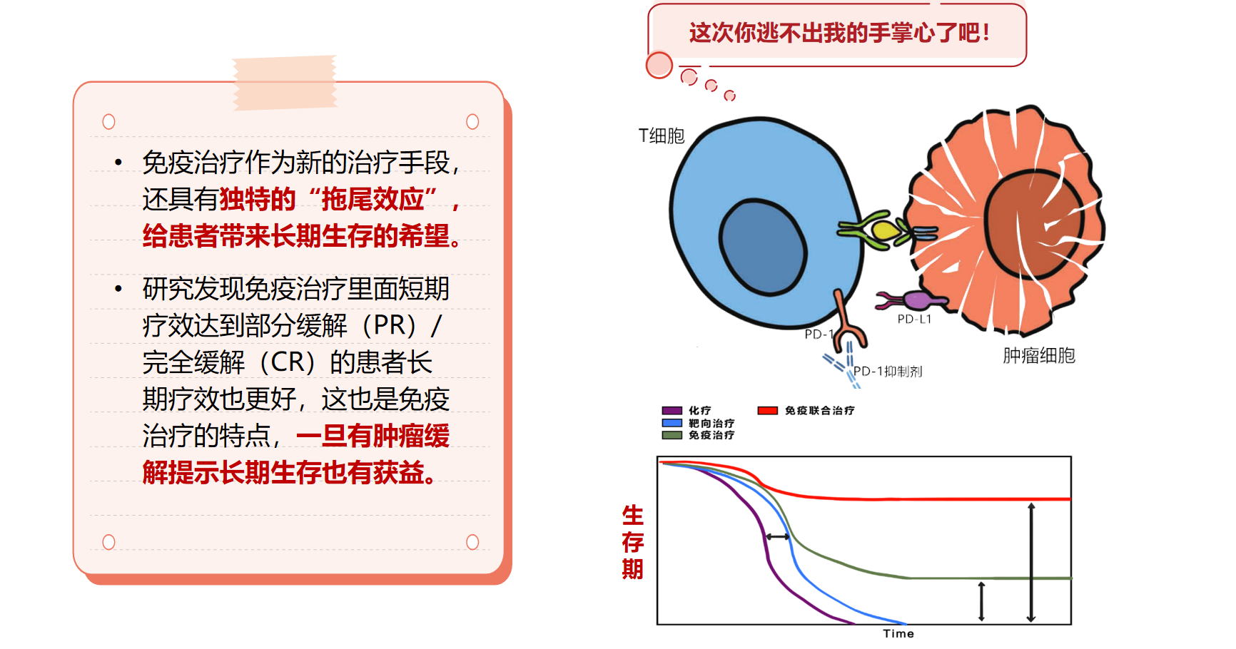 图片 5