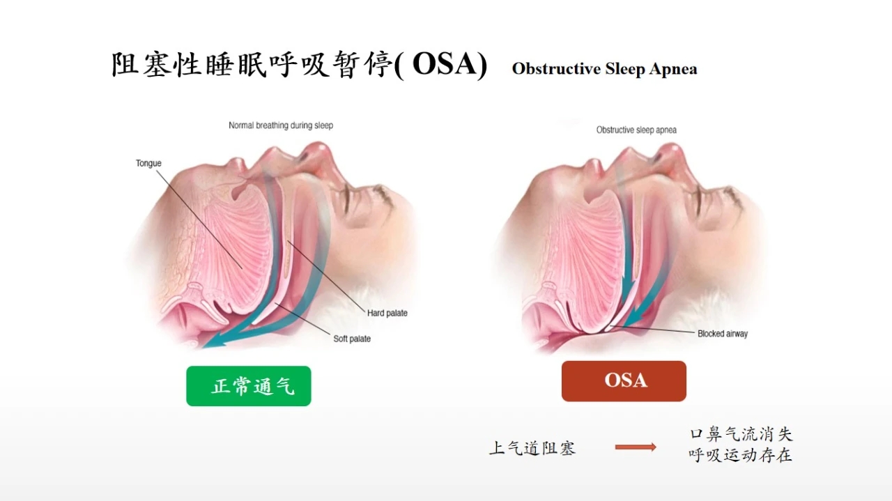 图示, 示意图 中度可信度描述已自动生成