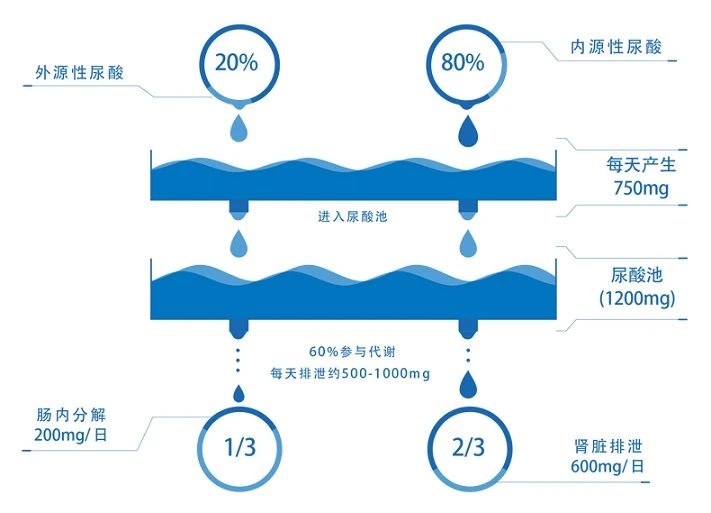 微信图片_痛风1