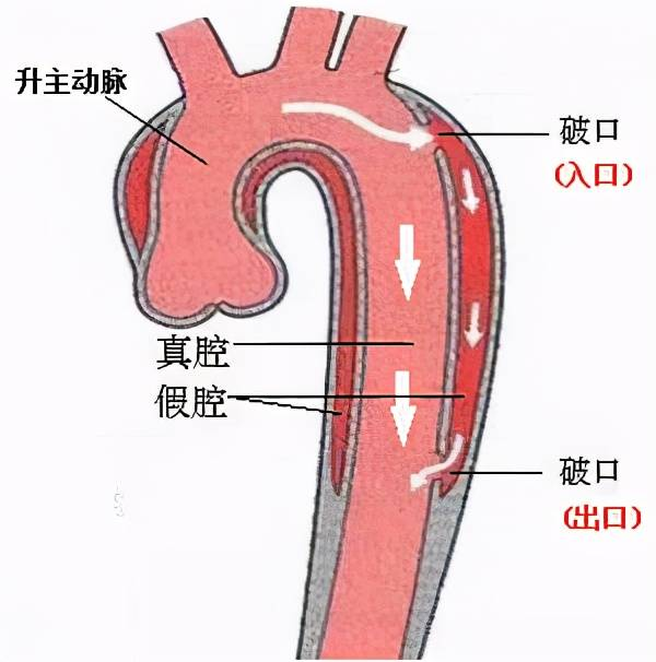 图片 3.png