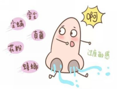 图片24.png