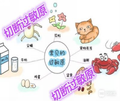 图片25.png
