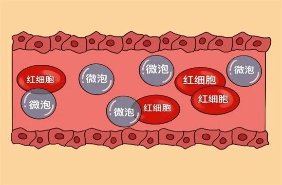 微信图片_20220620192622