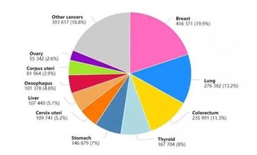 图表, 饼图&#xA;&#xA;描述已自动生成