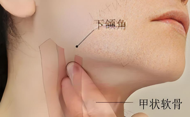 0714c35cc8737d120c9d664356edc5ad