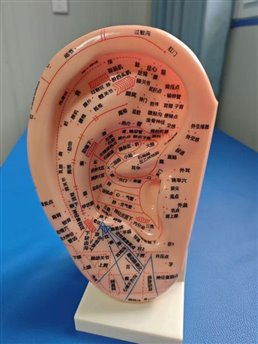 3667a93a7cba7eabefa31afb218c86f6