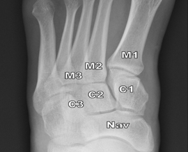 298578030724cccf940d92286f2dc0b8