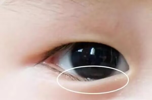 714F29C6EC12117D17BA2D41CDE720C9