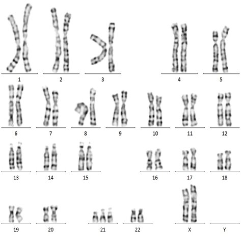 图示, 工程绘图&#xA;&#xA;描述已自动生成