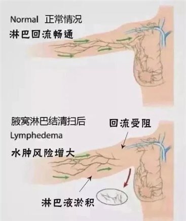 点击查看图片来源