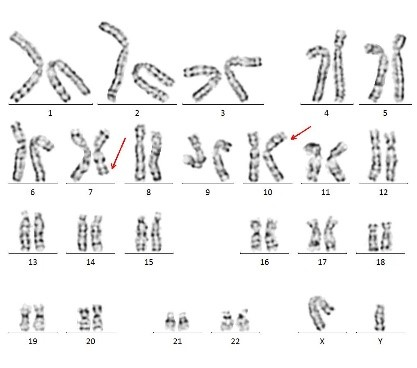 图片11.jpg