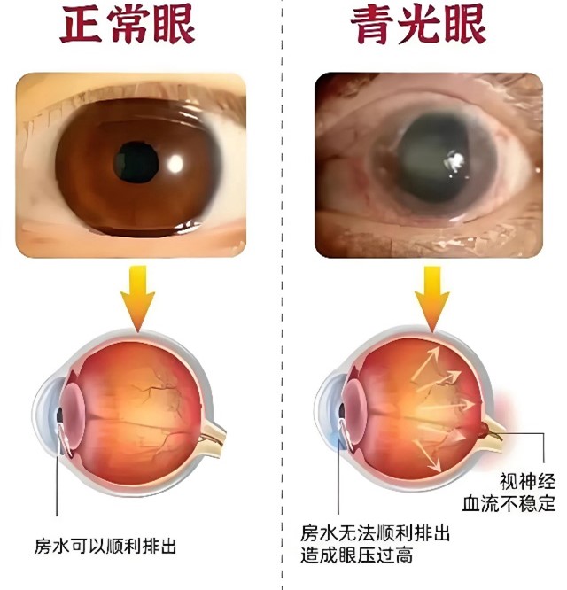 图片4.jpg 图片4.jpg